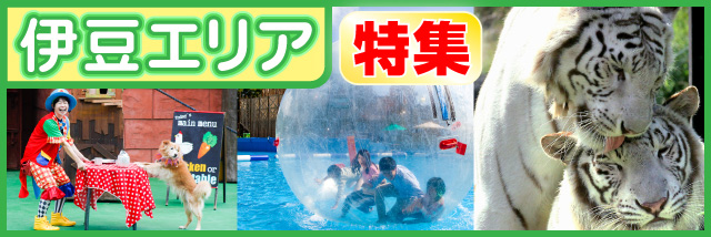 伊豆特集