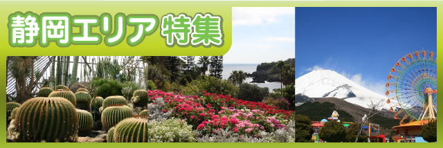 静岡特集