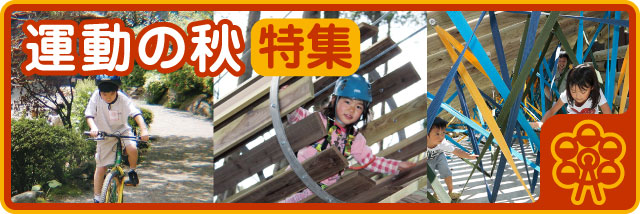 運動の秋