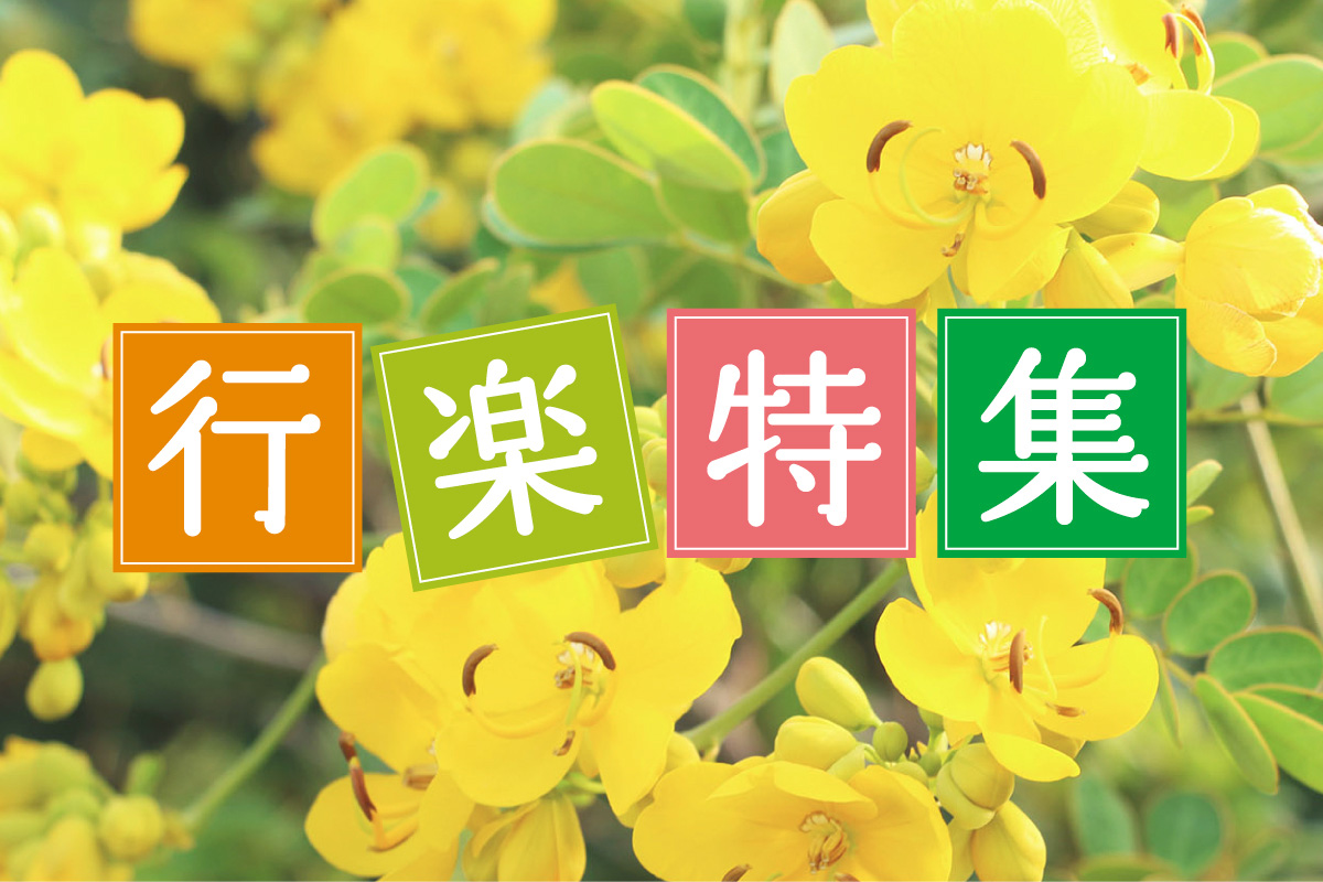 行楽特集