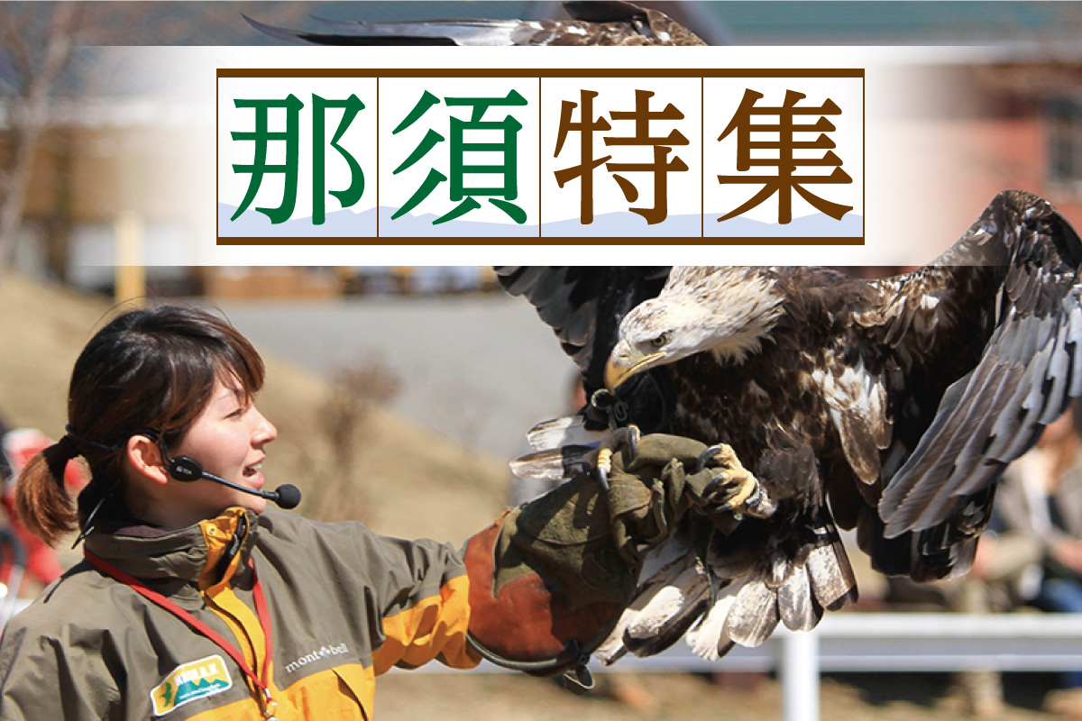 那須エリア特集